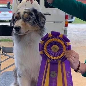 Meet your Posher, Elizabeth